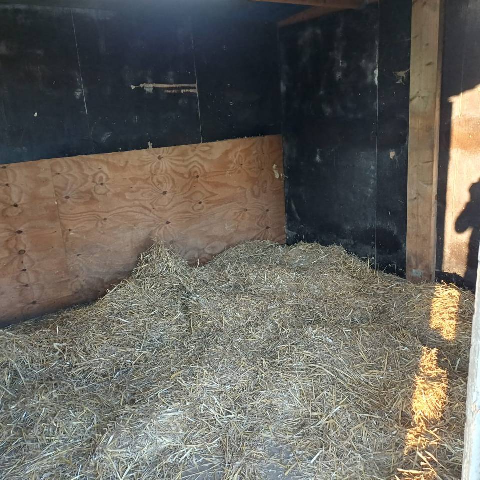  Box pour cheval &agrave; louer &ndash; Cadre champ&ecirc;tre ?