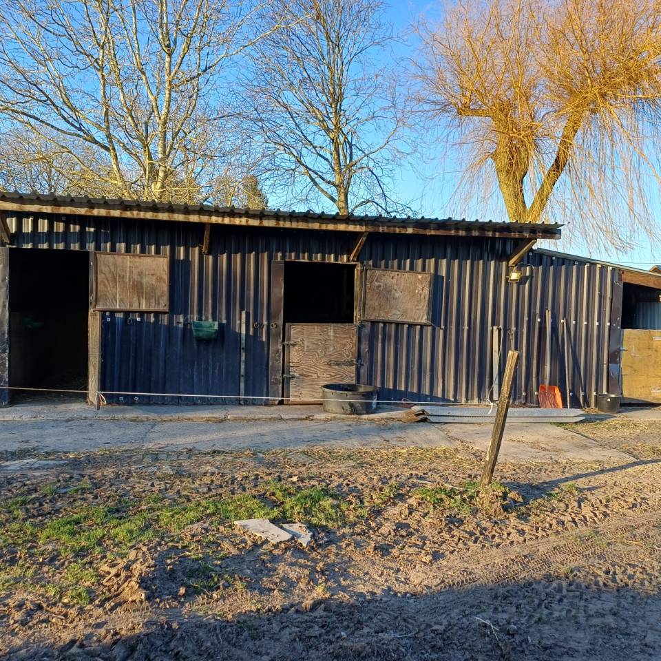  Box pour cheval &agrave; louer &ndash; Cadre champ&ecirc;tre ?