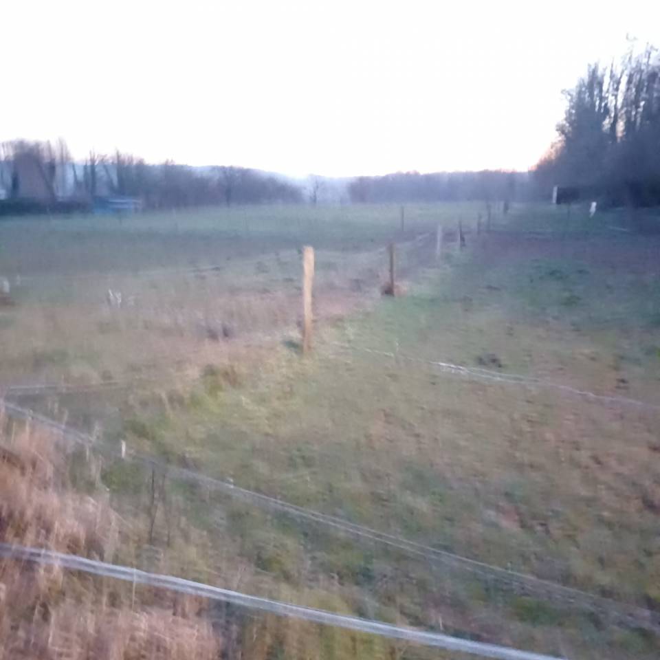  Box pour cheval &agrave; louer &ndash; Cadre champ&ecirc;tre ?