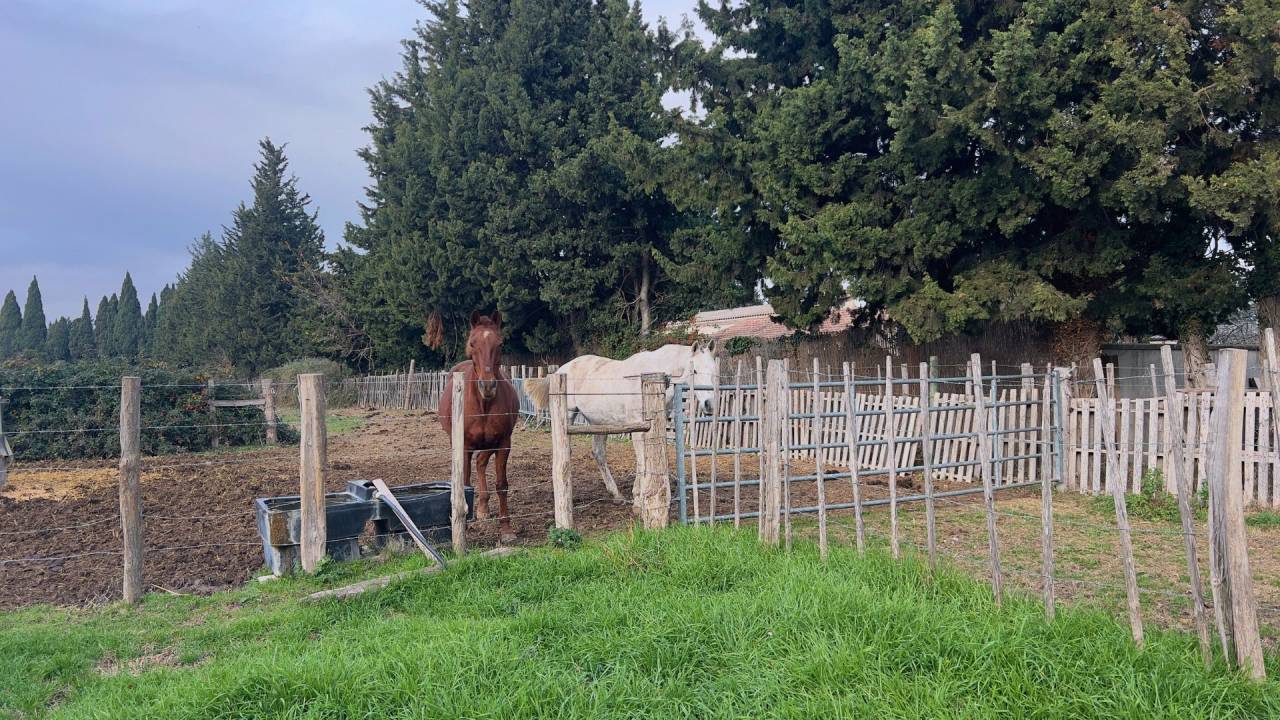 Au pied des Alpilles : mas de charme avec installations