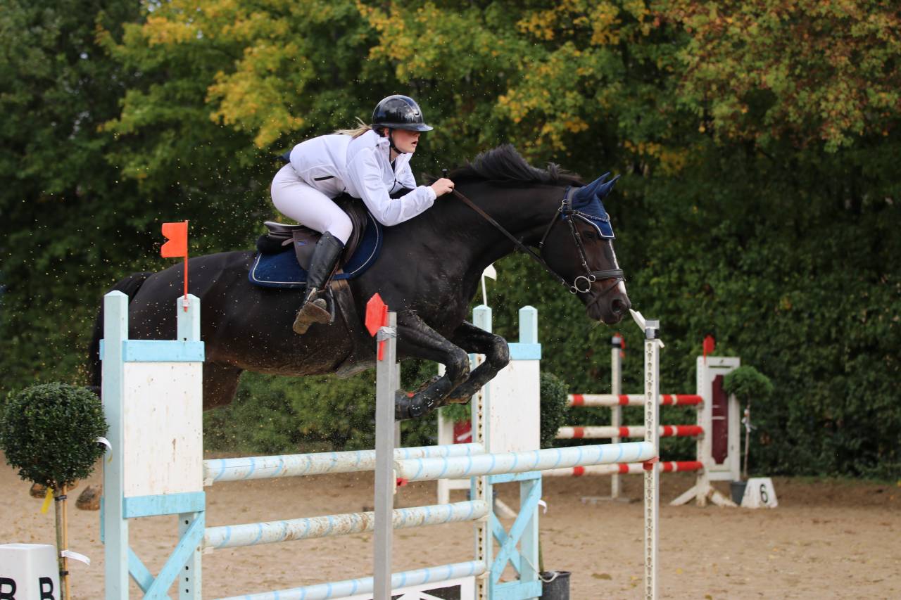 Cheval de sport avec c&oelig;ur et exp&eacute;rience