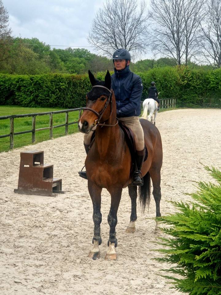 CHEVAL DE CSO 16 ANS