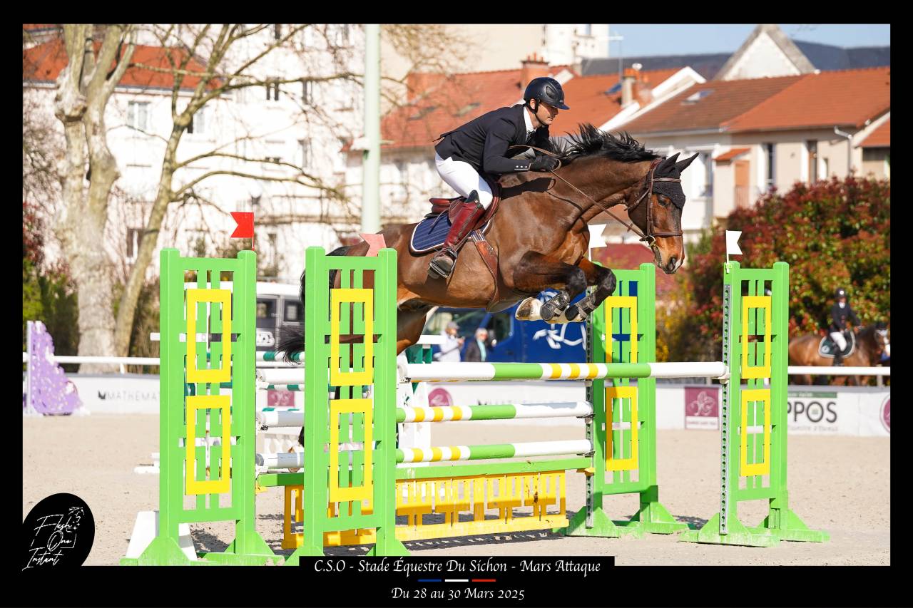 CHEVAL DE CSO 16 ANS