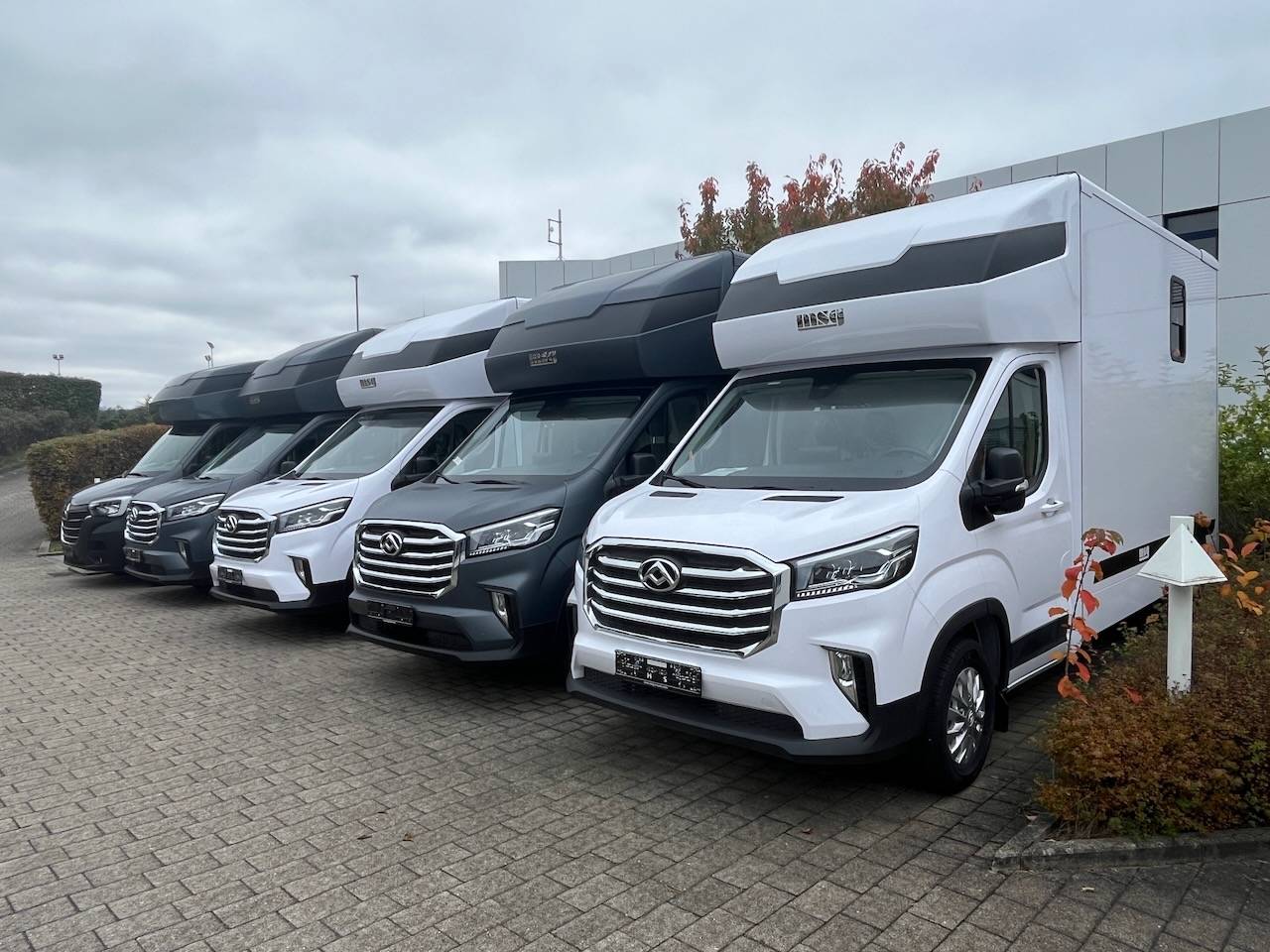 MAXUS DELIVER 9 LUXURY MSG STALLION LIGHT