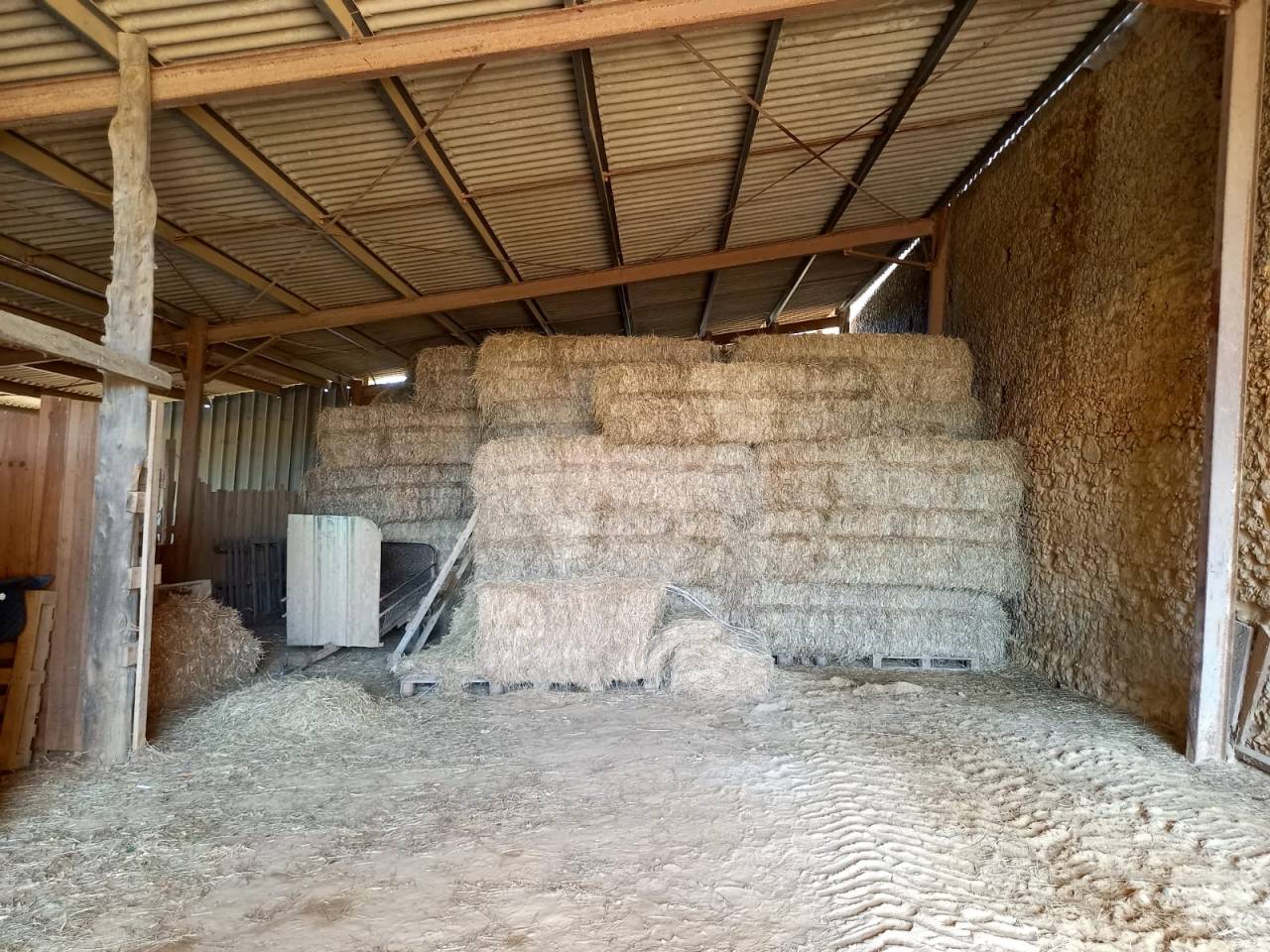 Propri&eacute;t&eacute; &eacute;questre & d&rsquo;h&eacute;bergement d&rsquo;exception - Gers