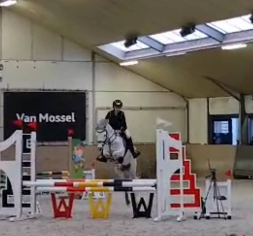  Poney C de sport d&rsquo;exception 