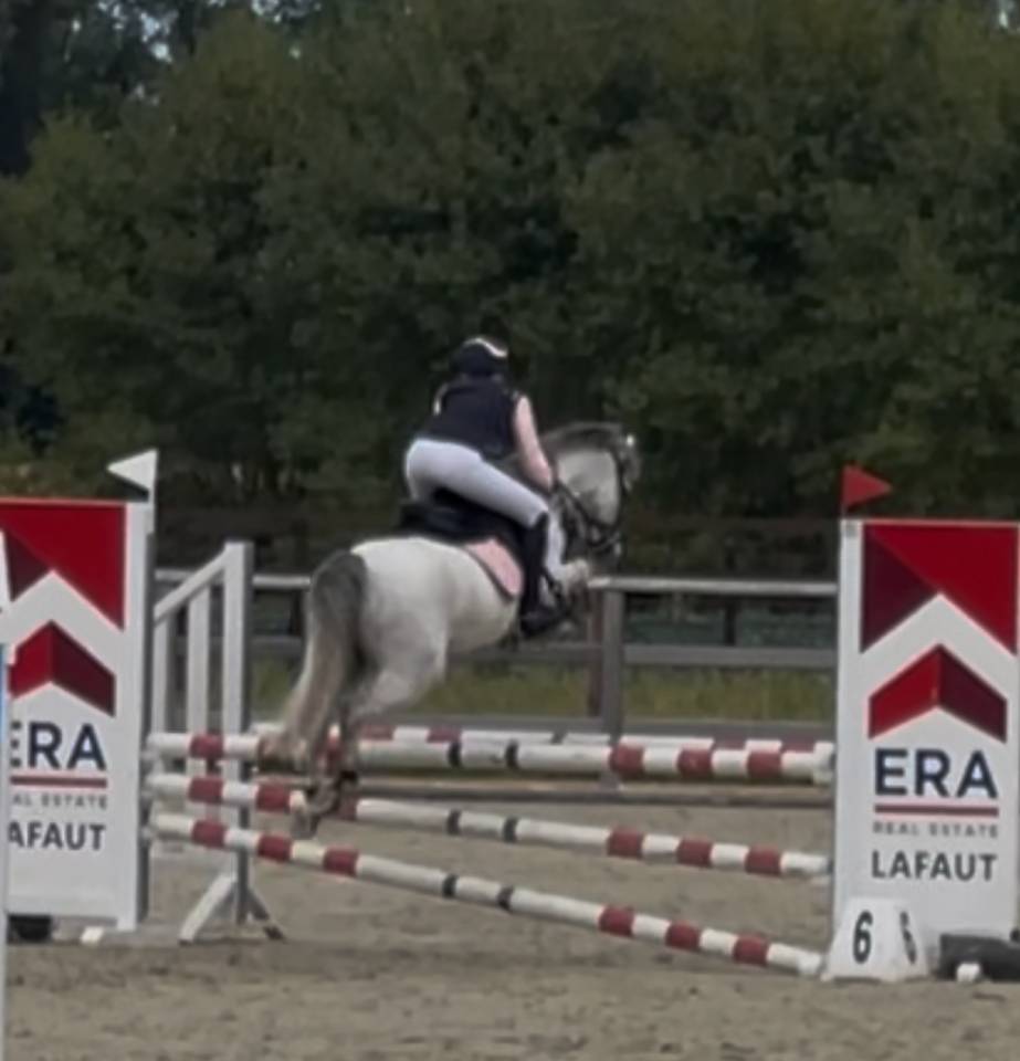  Poney C de sport d&rsquo;exception 