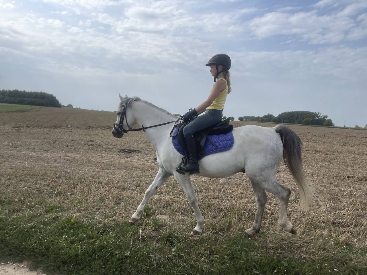  Poney C de sport d&rsquo;exception 