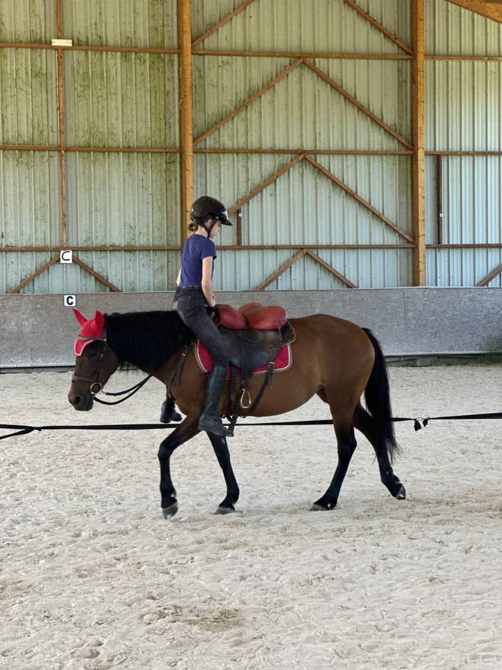 Ponette ONC 1m45 mental en or - Id&eacute;al Famille