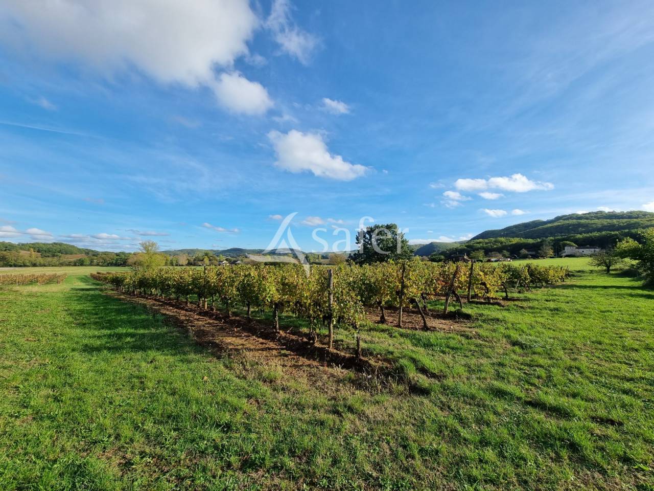 Propri&eacute;t&eacute; dans la Vall&eacute;e du Lot, en zone AOC Cahors