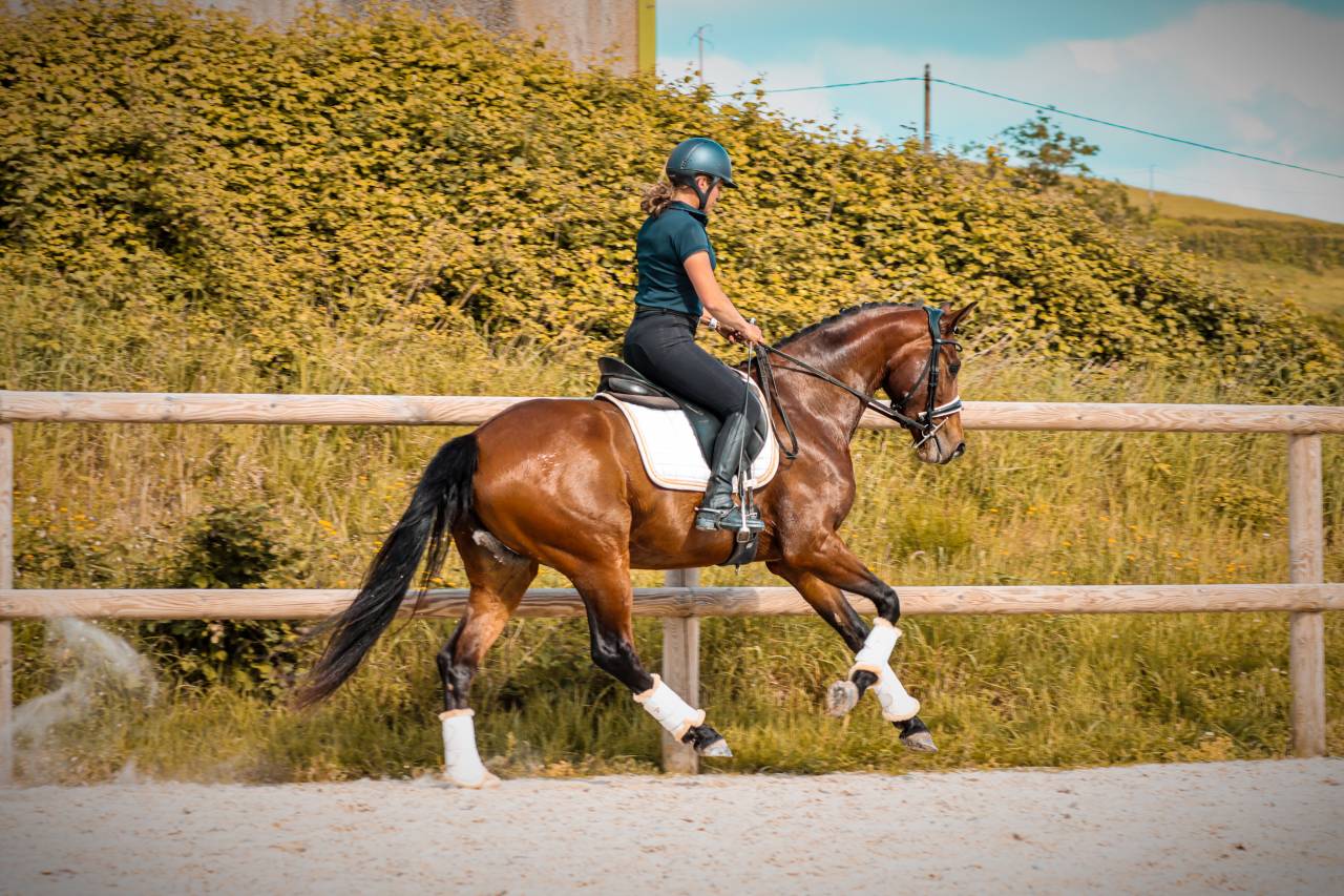Jument par Vitalis x Apache