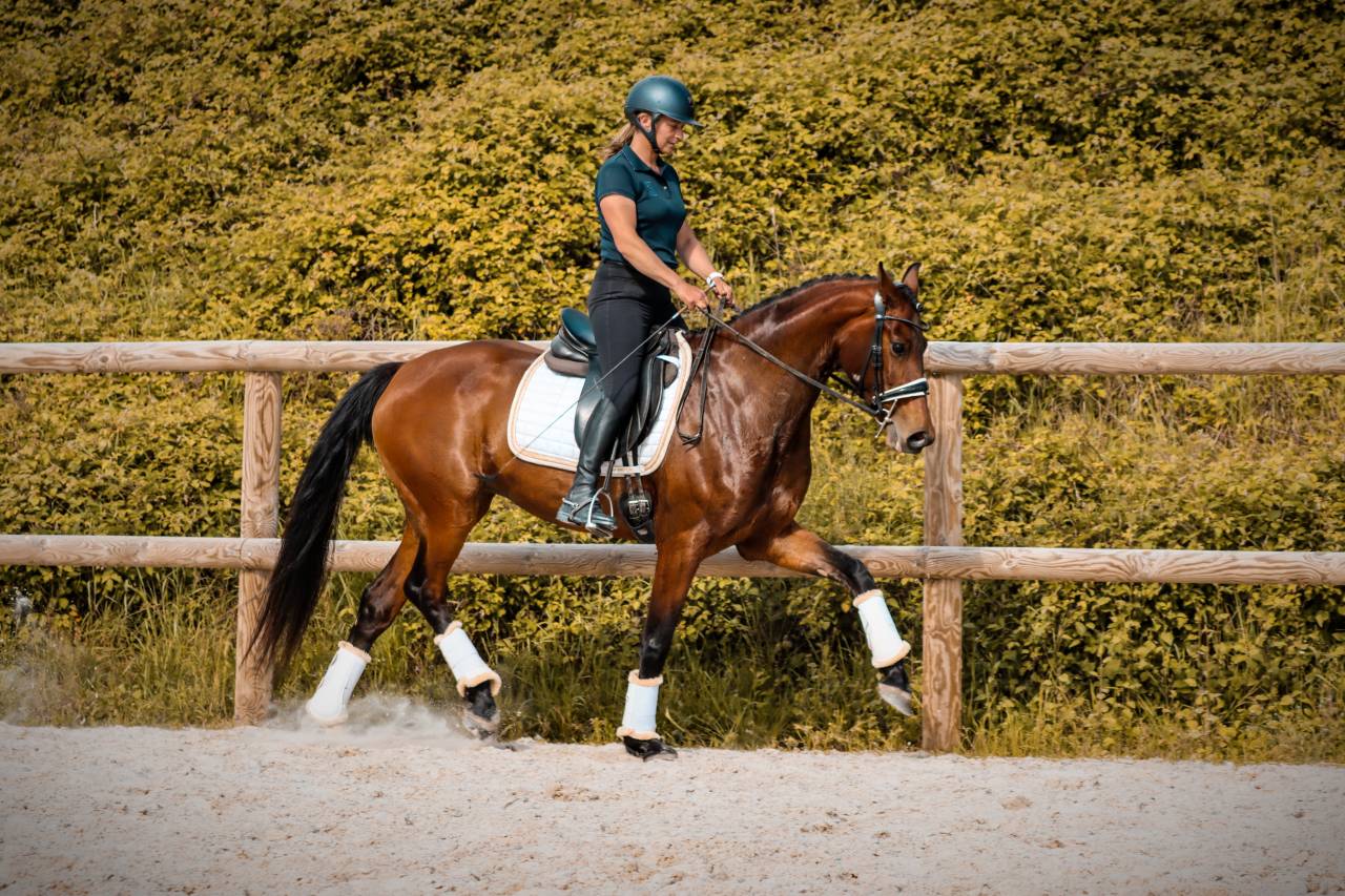 Jument par Vitalis x Apache