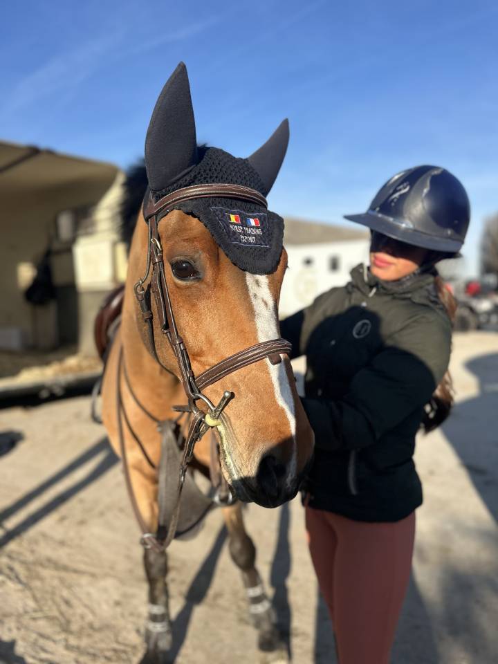 Un Gamin, superbe poney