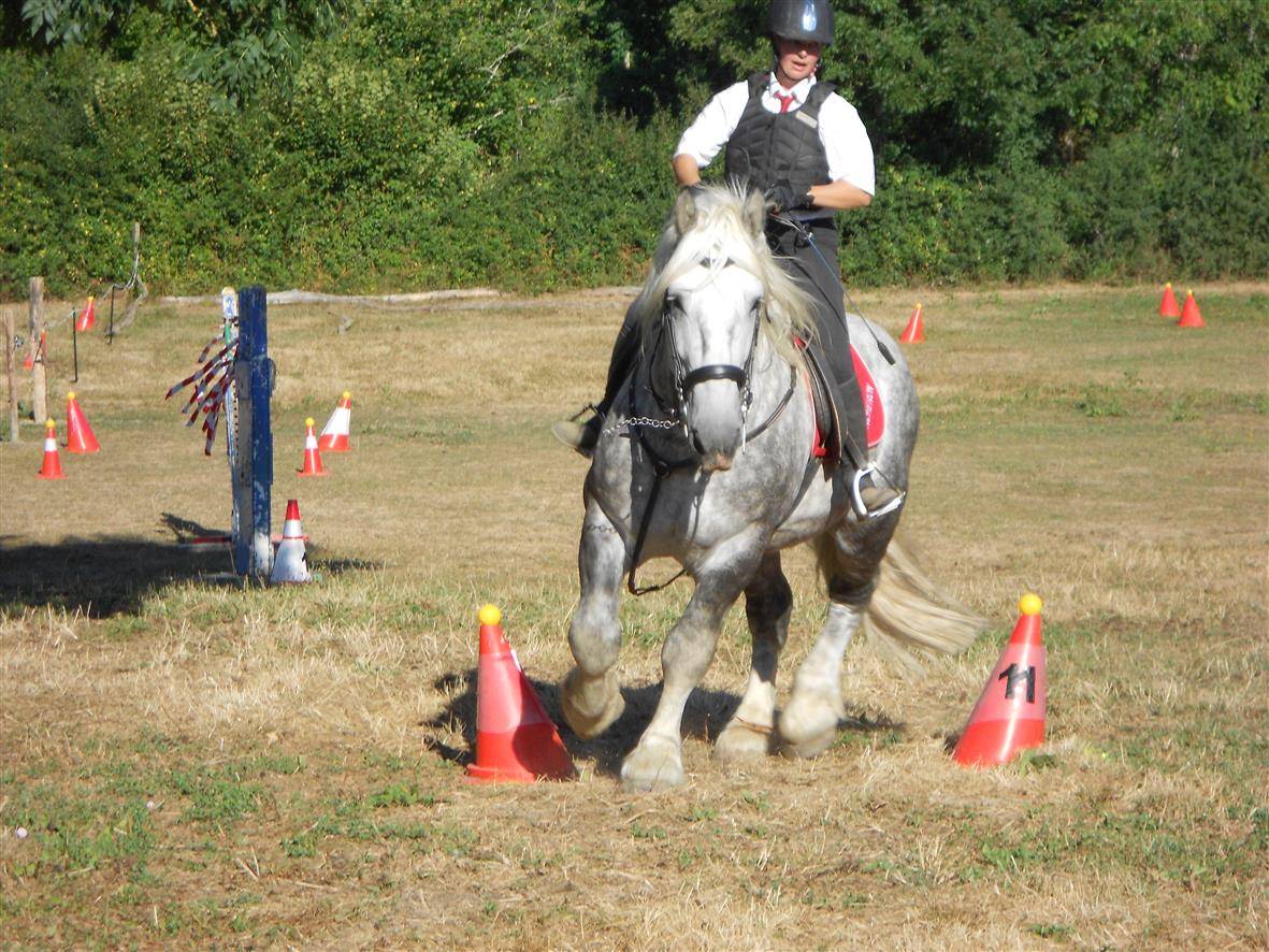 vend &eacute;talon percheron 