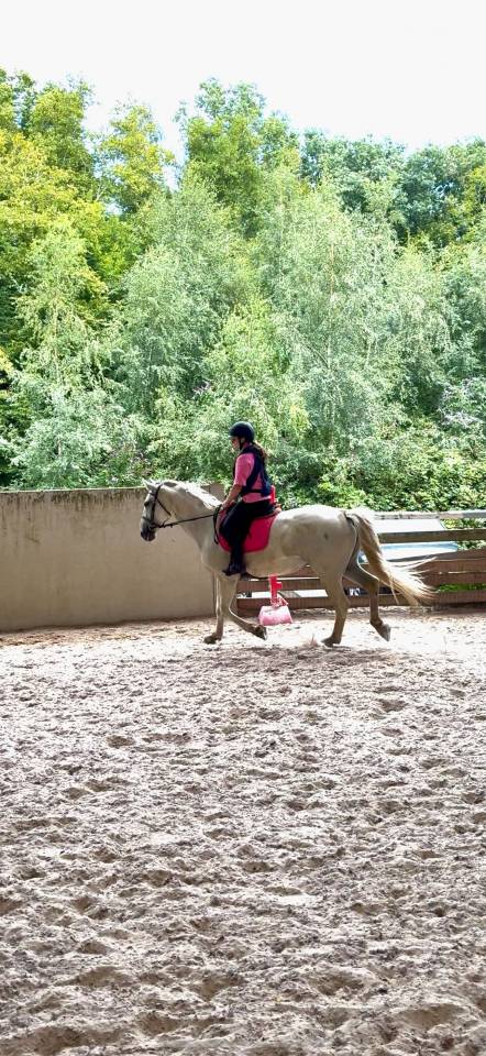 Jument 14ans 