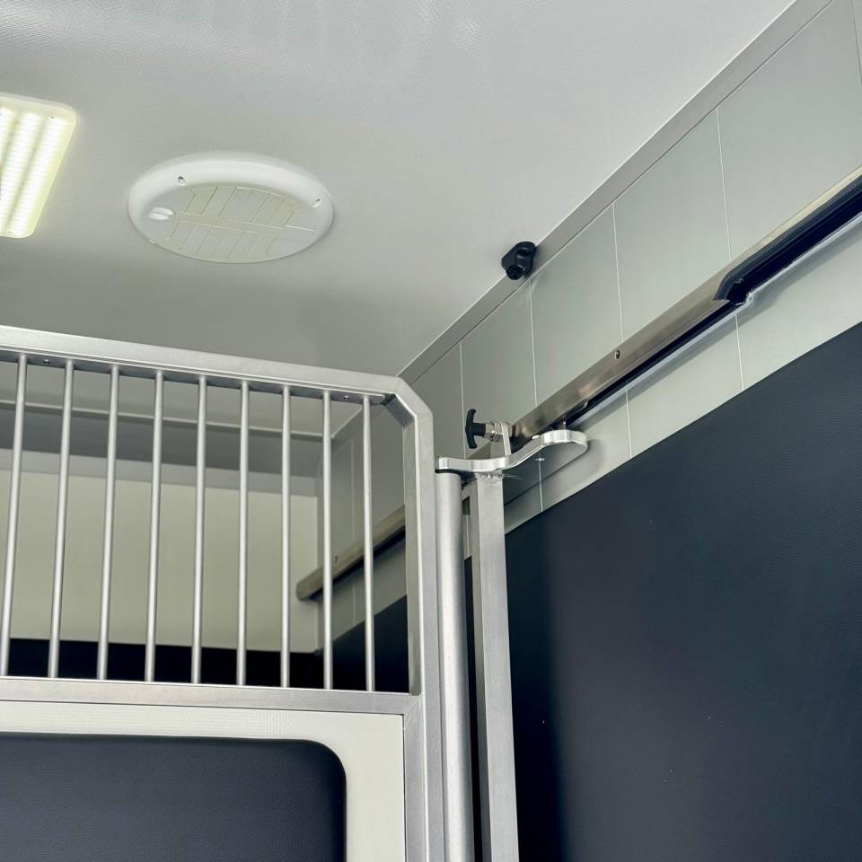 Camion chevaux Vl AKX 