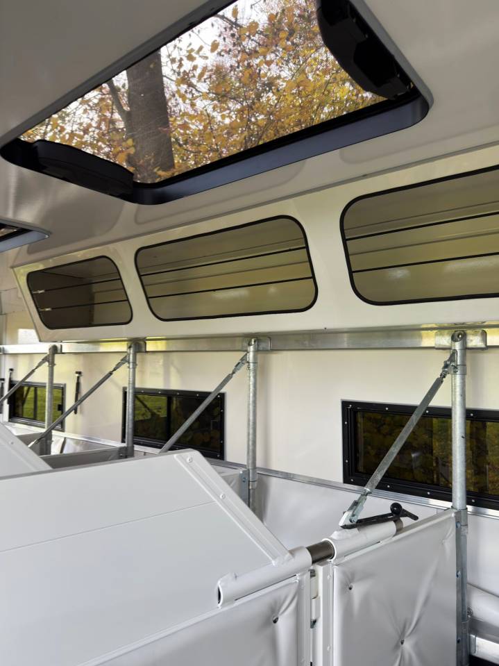 MAN TGM 15.290 WMS POP OUT