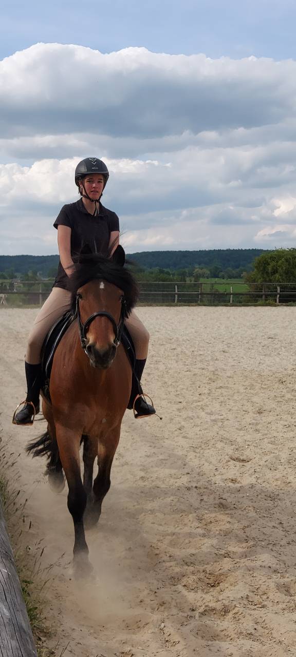 Recherche demi pension 