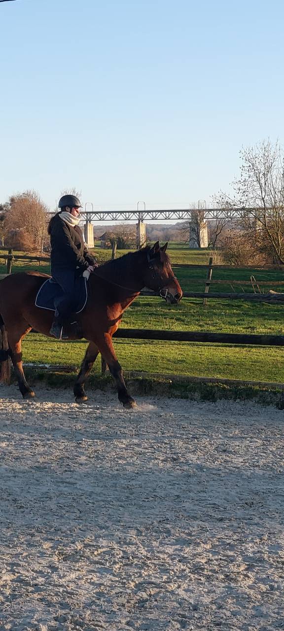 Recherche demi pension 