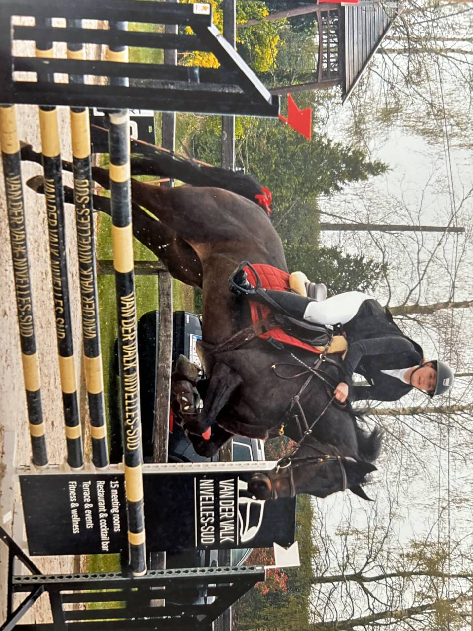 ? &Agrave; vendre &ndash; Superbe jument pour famille cavali&egrave;re con