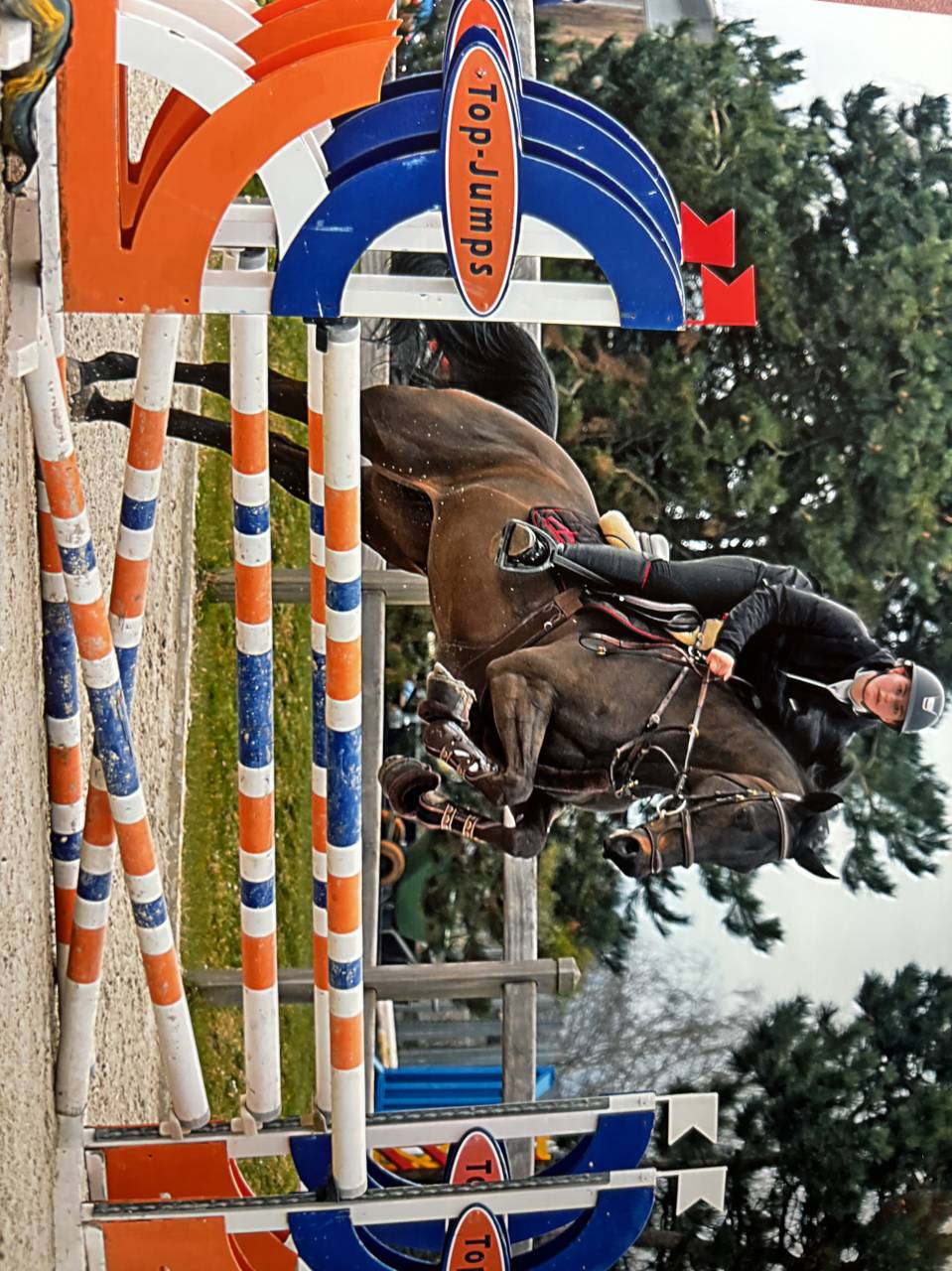 ? &Agrave; vendre &ndash; Superbe jument pour famille cavali&egrave;re con