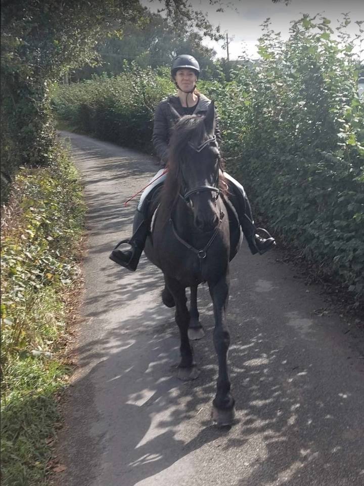 Jument frisonne ONC de 16 ans a placer