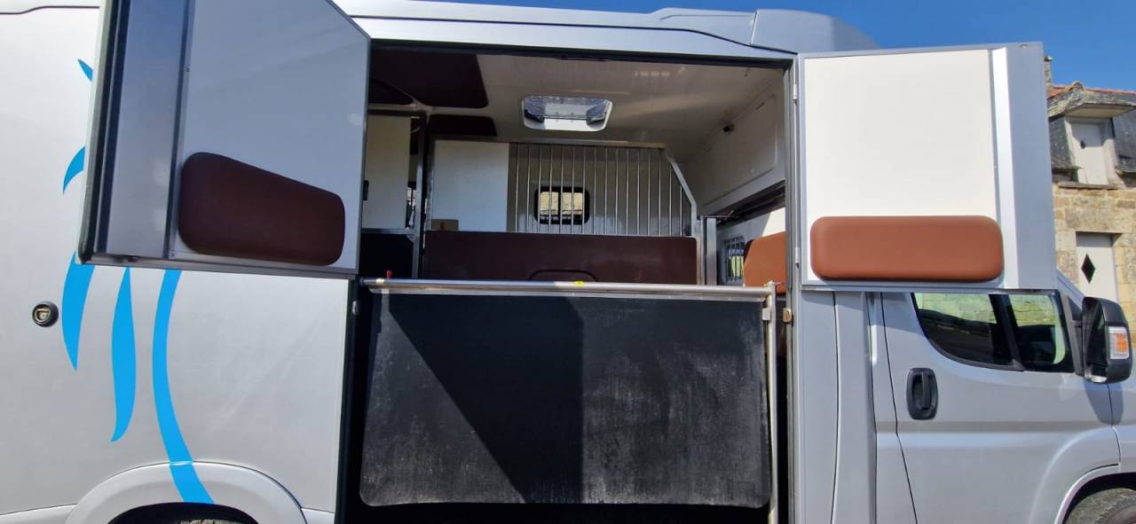 Camion chevaux Ducato ATM