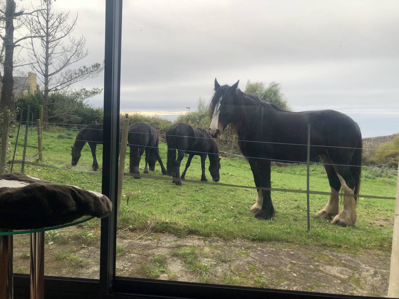 Maison vue mer avec possibilit&eacute; d'acceuil chevaux