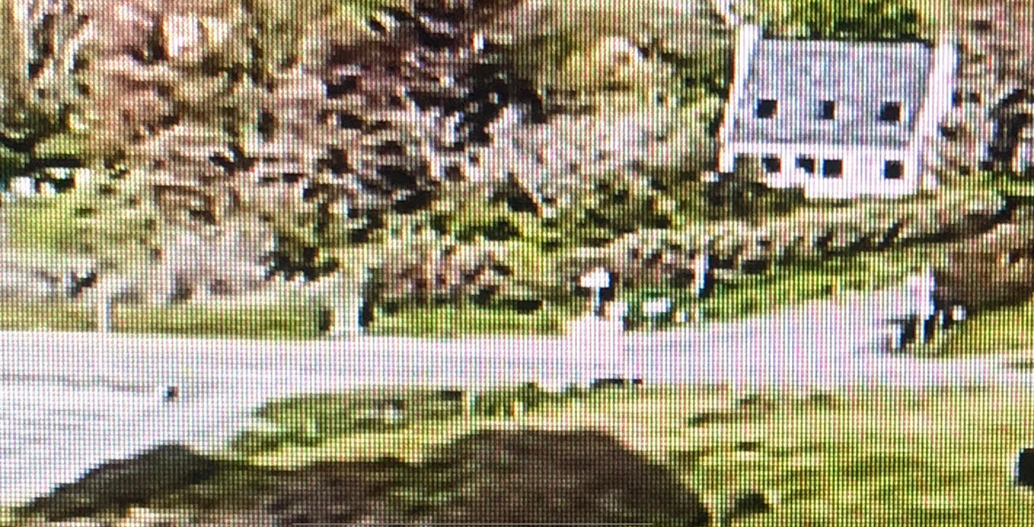 Maison vue mer avec possibilit&eacute; d'acceuil chevaux