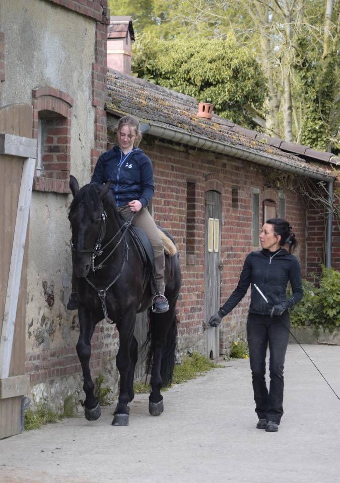 Pur-Sang Lusitanien Dress&eacute;