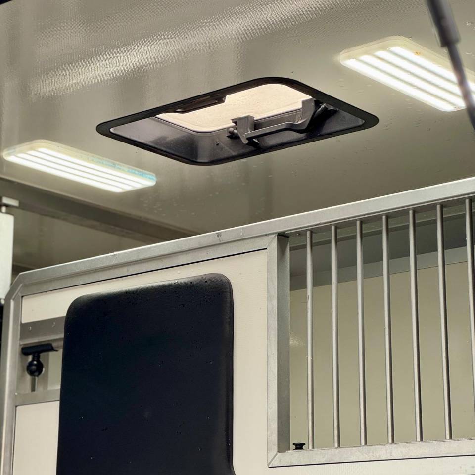 Camion chevaux Vl occasion AKX 