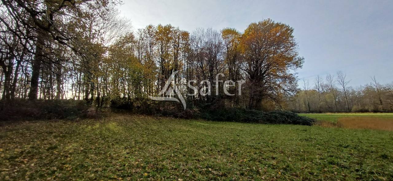 Etang, pr&eacute; et bois sur 2ha24 en P&eacute;rigord vert