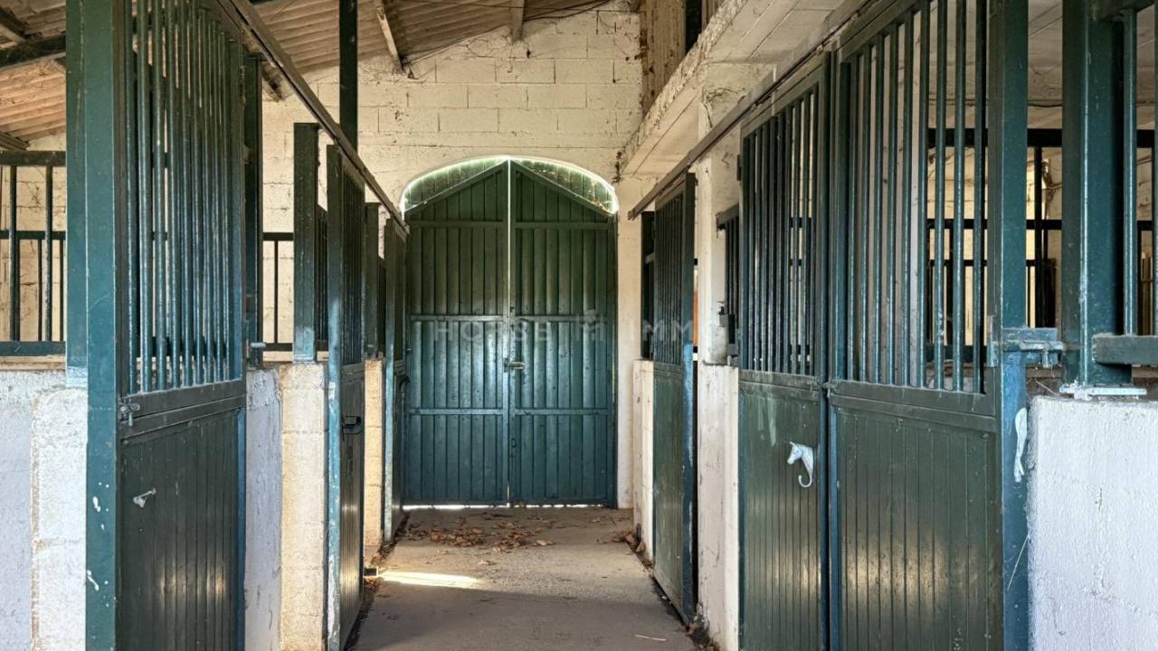 Domaine &eacute;questre aux portes de N&icirc;mes