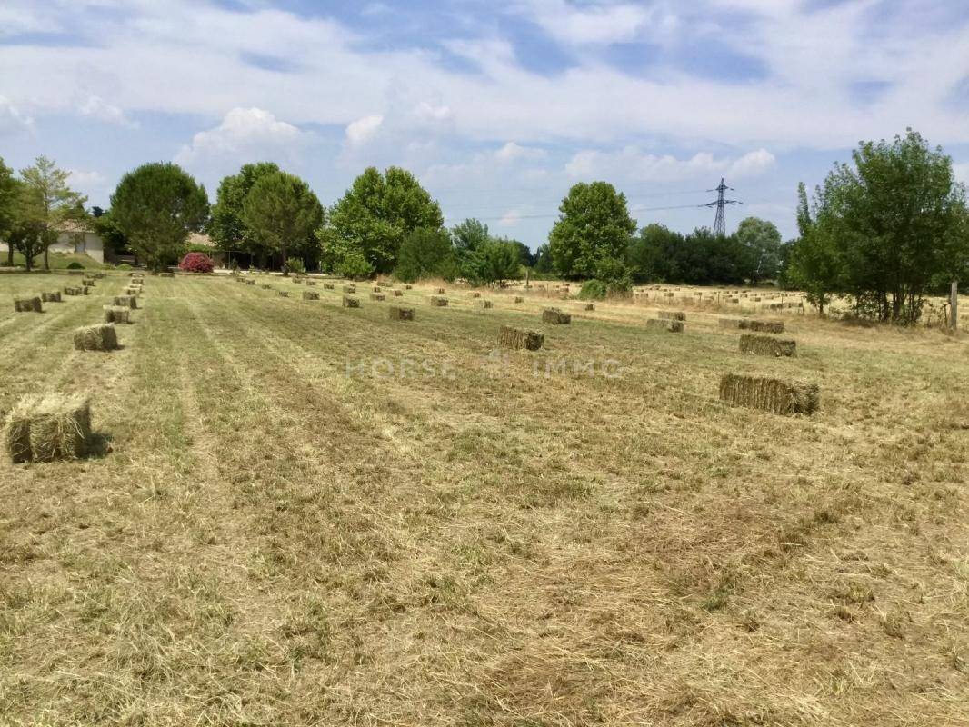Domaine &eacute;questre aux portes de N&icirc;mes
