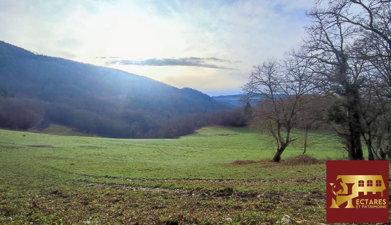 26 hectares aux portes de Suisse