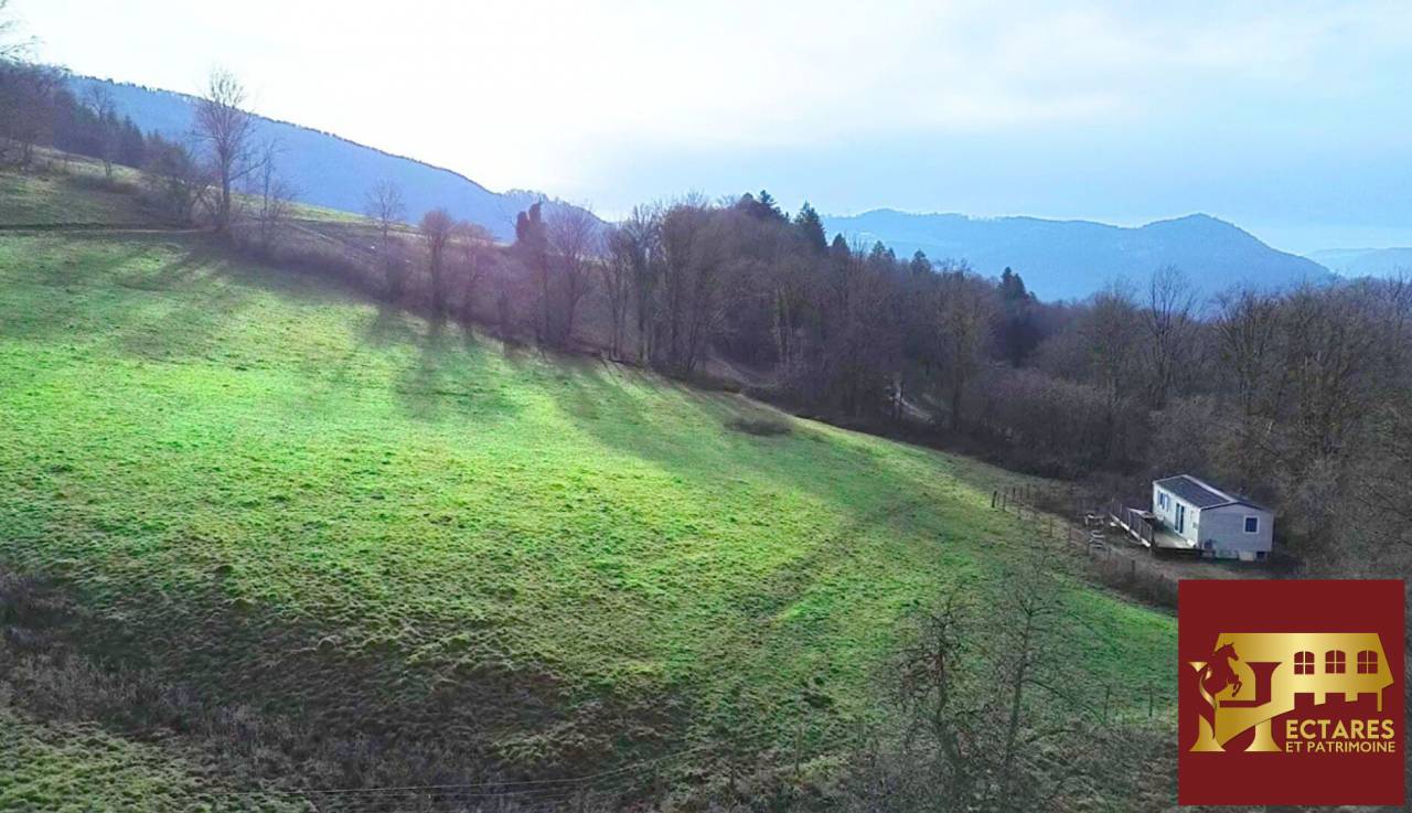 26 hectares aux portes de Suisse