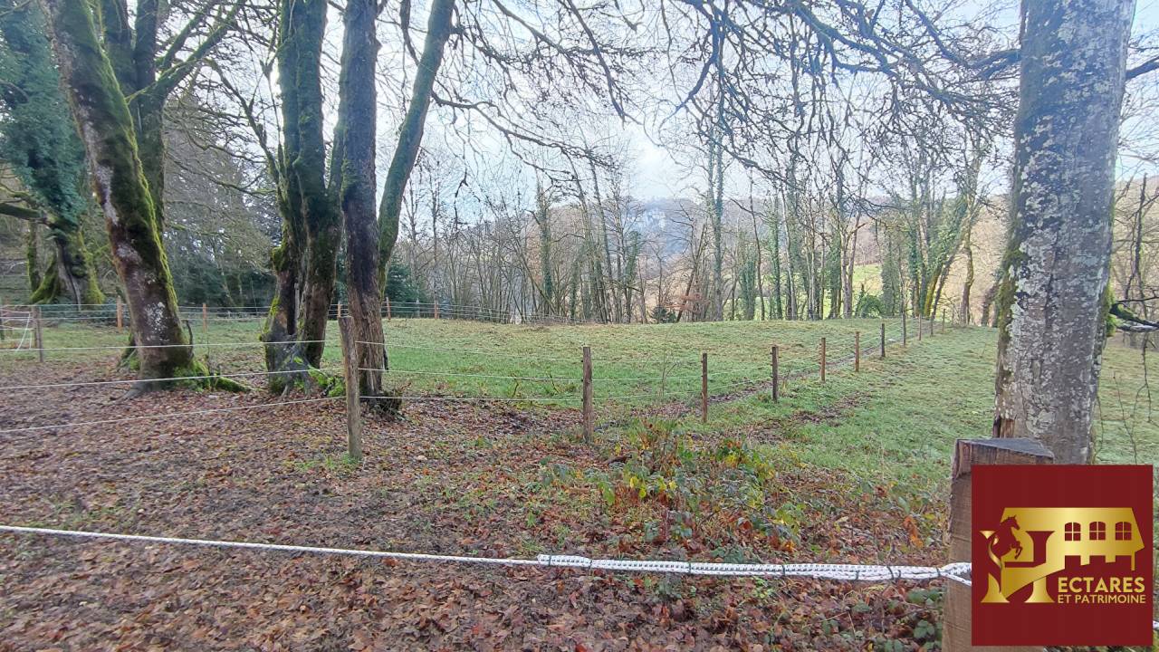 26 hectares aux portes de Suisse