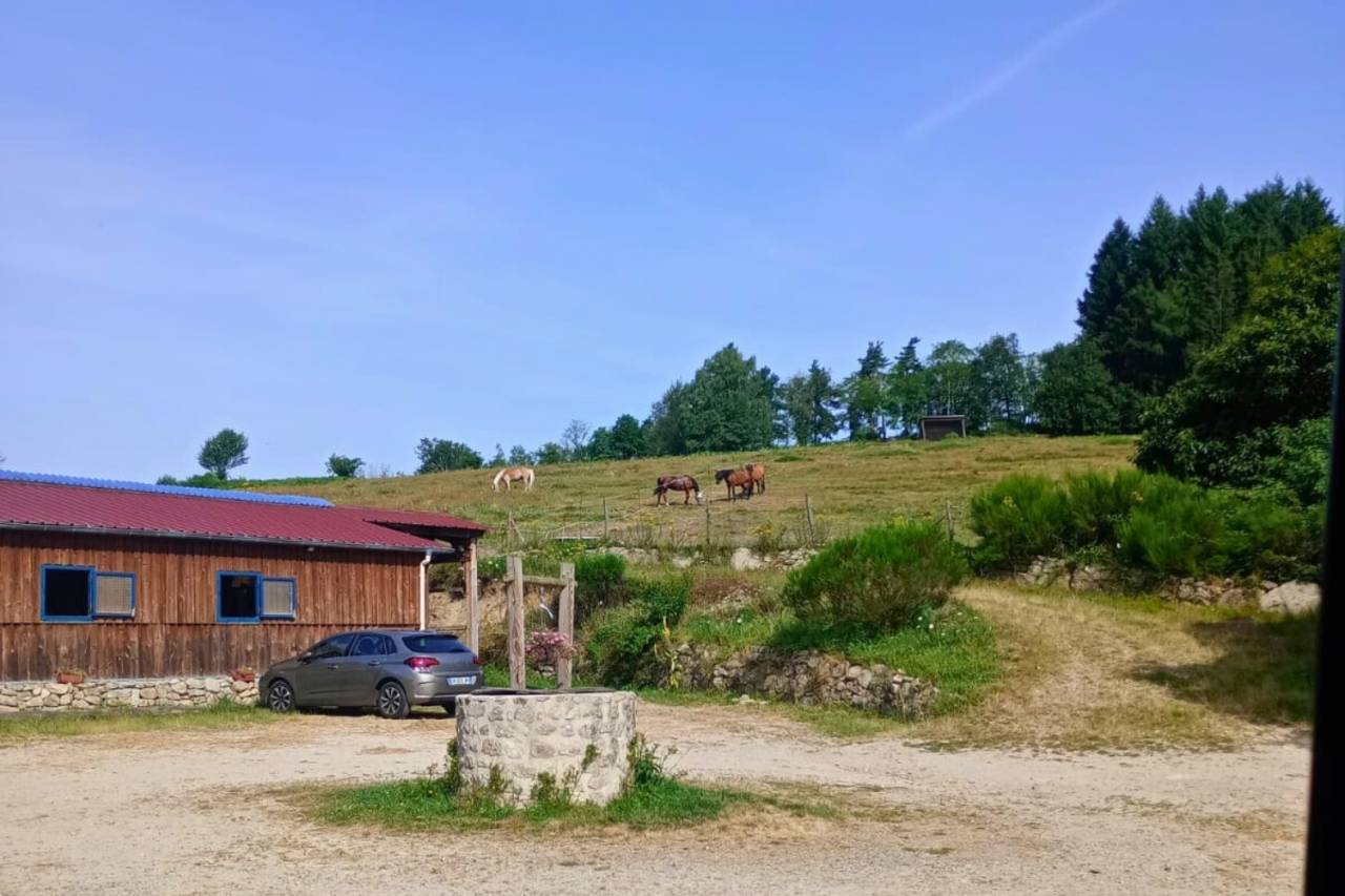 Charmante propri&eacute;t&eacute; d&eacute;ploy&eacute;e sur plus de 45ha (63)