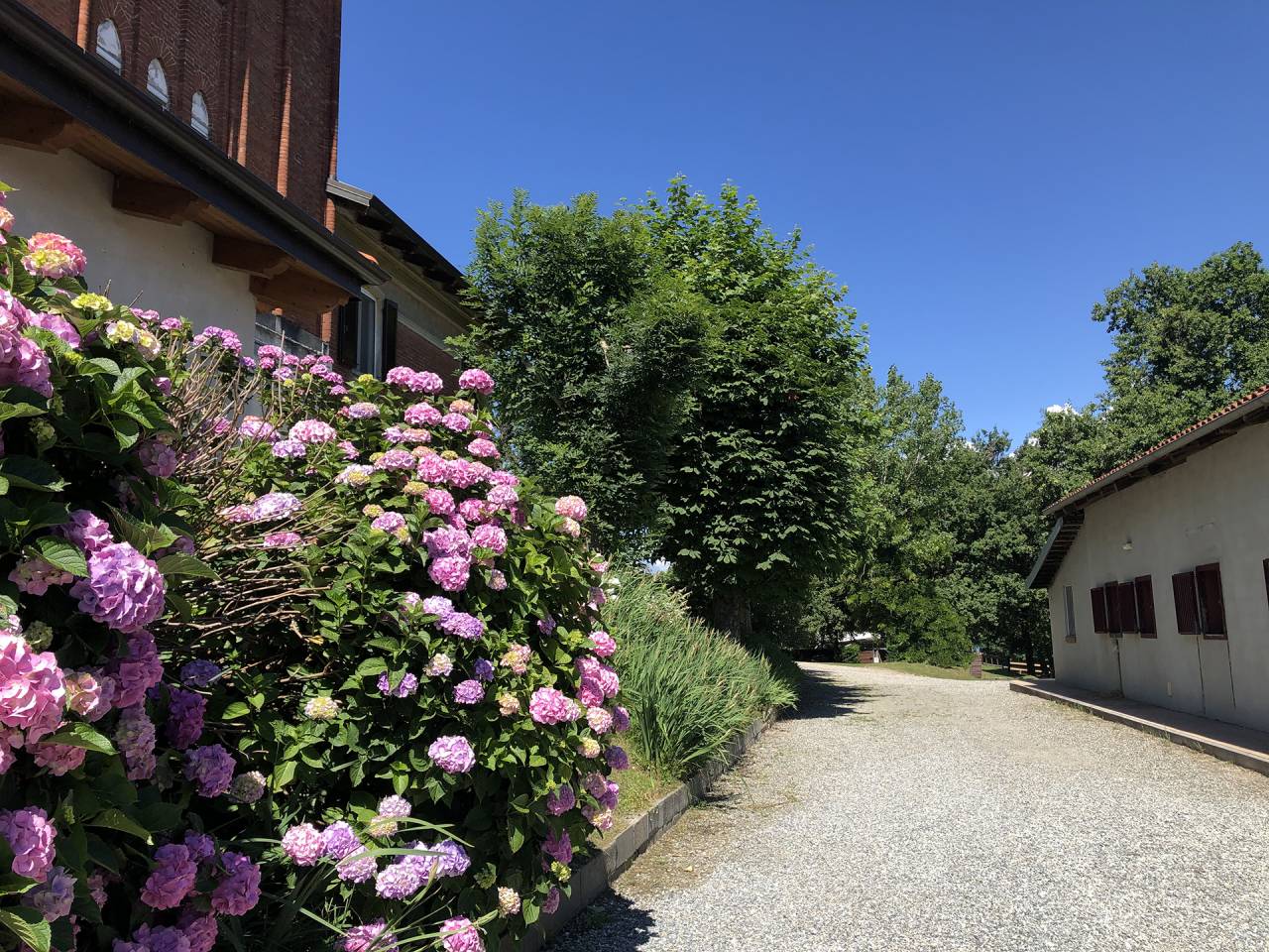 Propri&eacute;t&eacute; &eacute;questre A vendre Turin