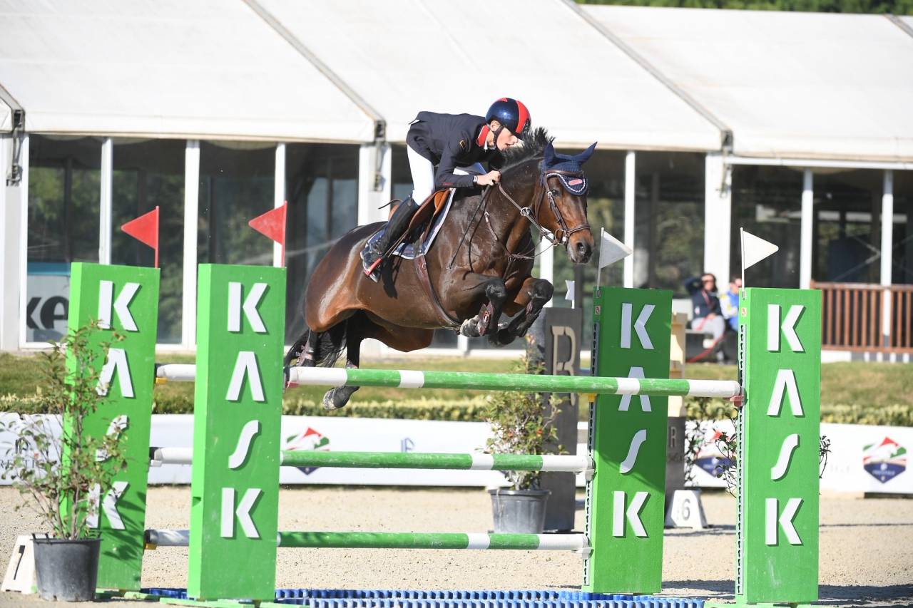 Jument Holsteiner A vendre 2011 Bai