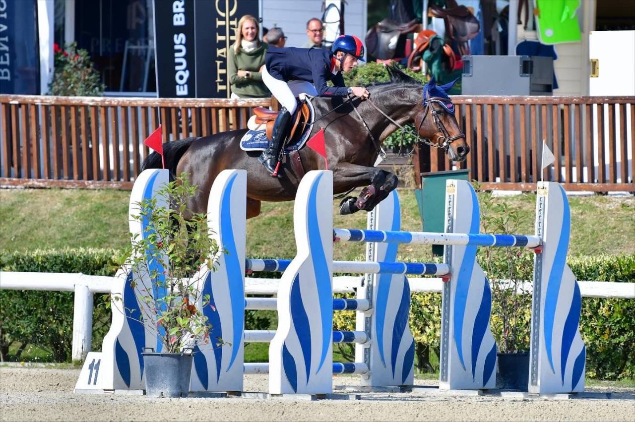 Jument Holsteiner A vendre 2011 Bai