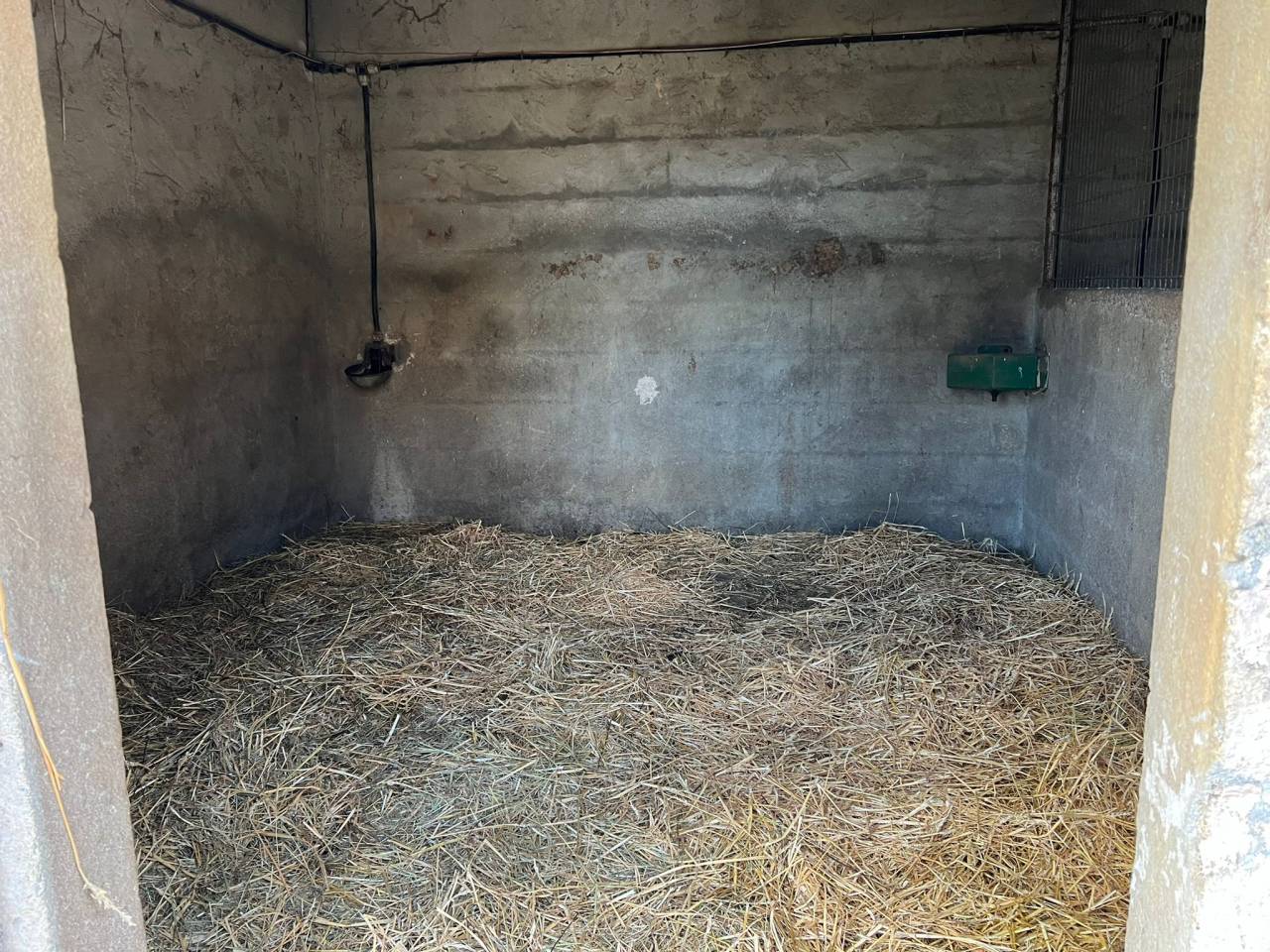 Propri&eacute;t&eacute; &eacute;questre de caract&egrave;re aux portes d&rsquo;Angoul&ecirc;me