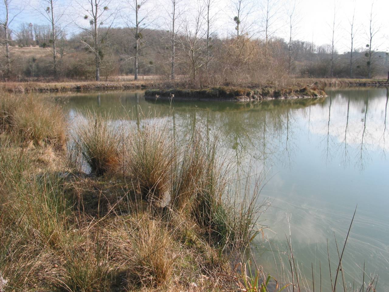 Propri&eacute;t&eacute; &eacute;questre de caract&egrave;re aux portes d&rsquo;Angoul&ecirc;me