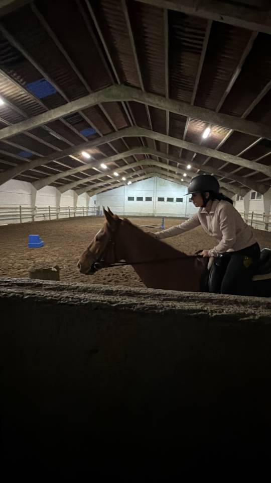 Demi pension pour jument de 5ans bloom 