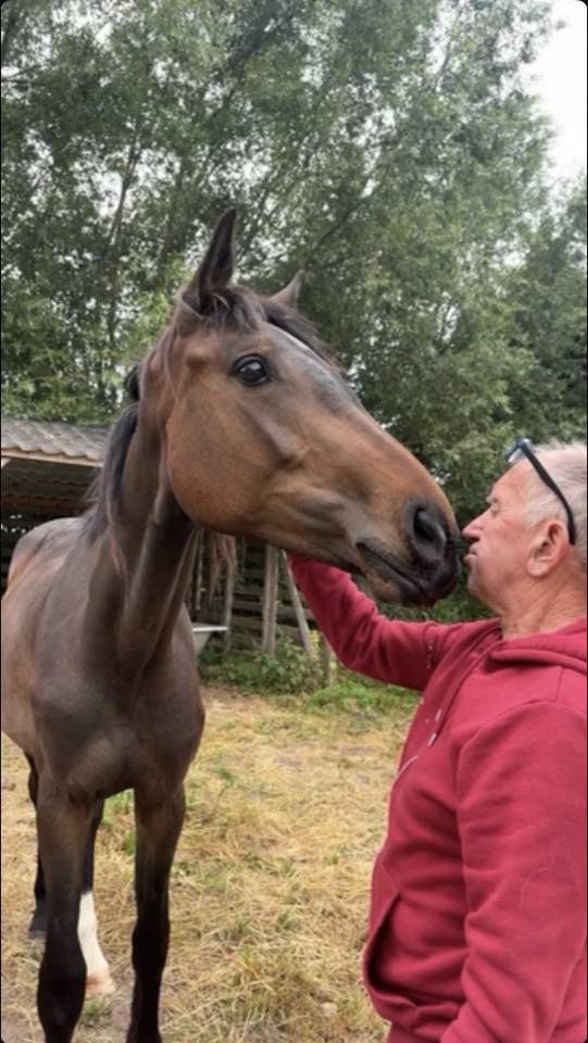 Jument de 2023 &agrave; vendre 