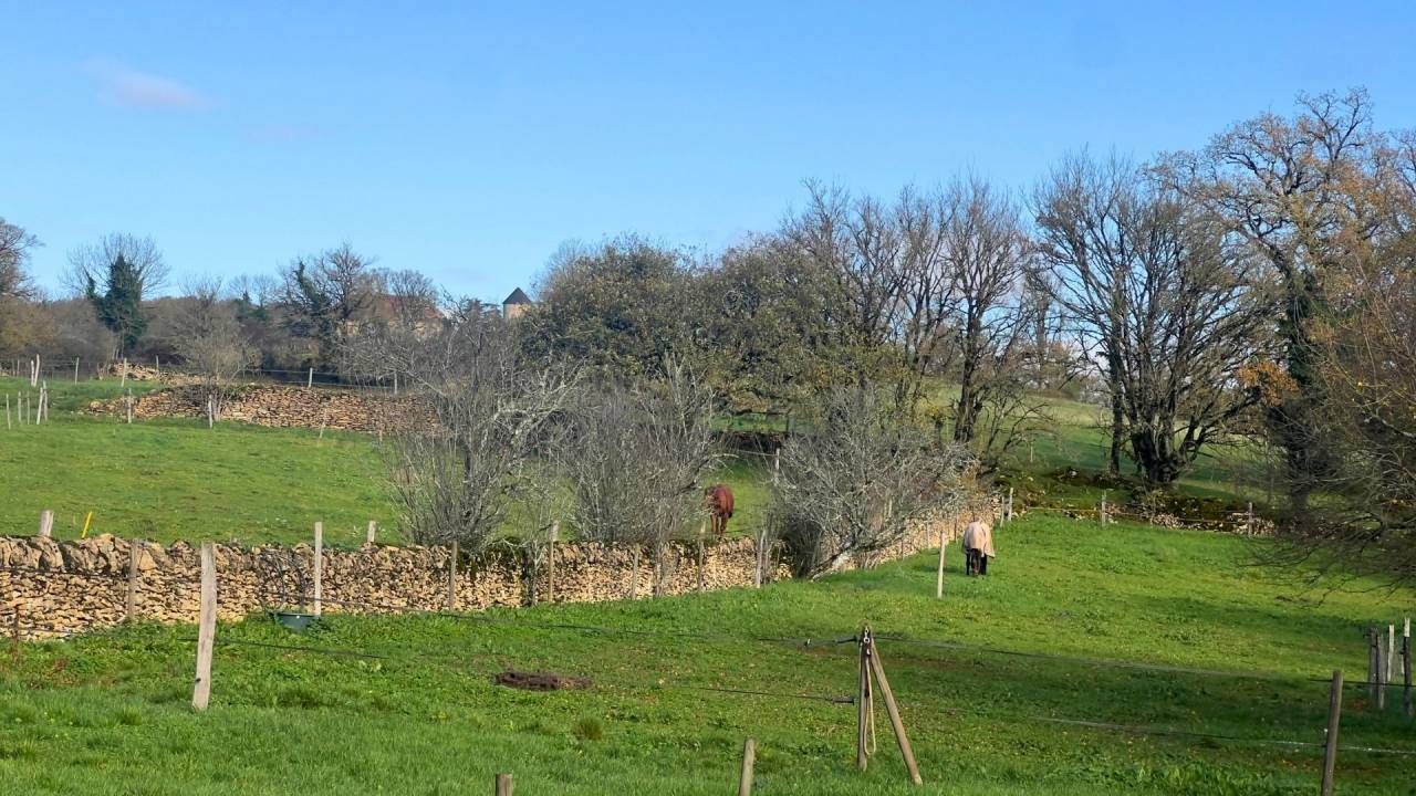  Lot (46) : Propri&eacute;t&eacute; &eacute;questre d&rsquo;excecption