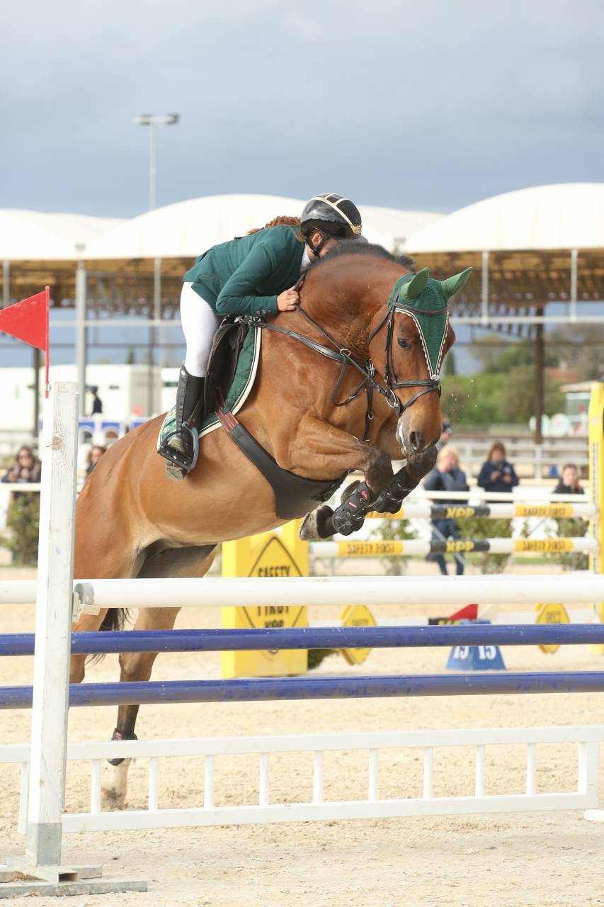 Jument Cheval de Sport Tch&egrave;que  A vendre 2013 Bai