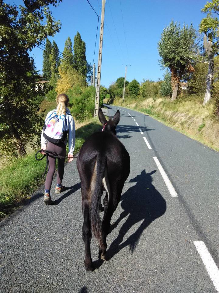 Gaya - &Acirc;nesse commune