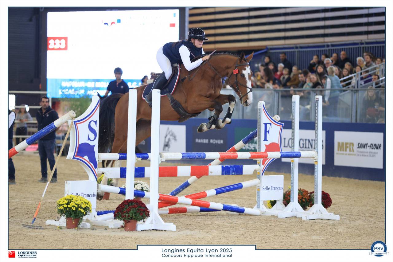 Cheval sport, 4 ans, Bai; SF, 1.72