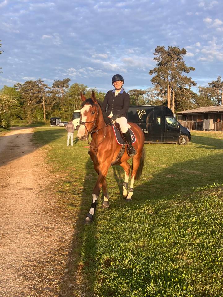 Mustang de Molion, Cheval sport, 4 ans, Bai; SF, 1.72